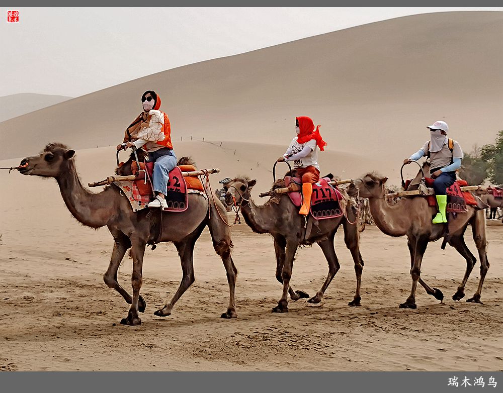 【甘青大环线】10.鸣沙山月牙泉偶遇沙尘暴