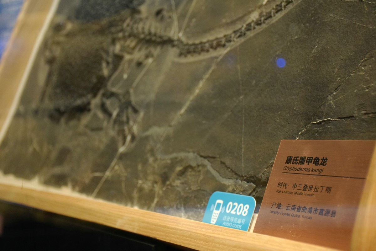 2023夏 黔赣鄂渝川（17）贵博的镇馆之宝