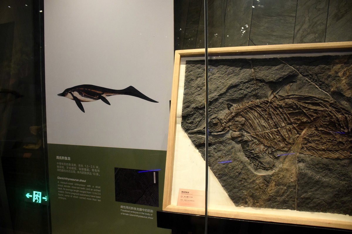 2023夏 黔赣鄂渝川（17）贵博的镇馆之宝