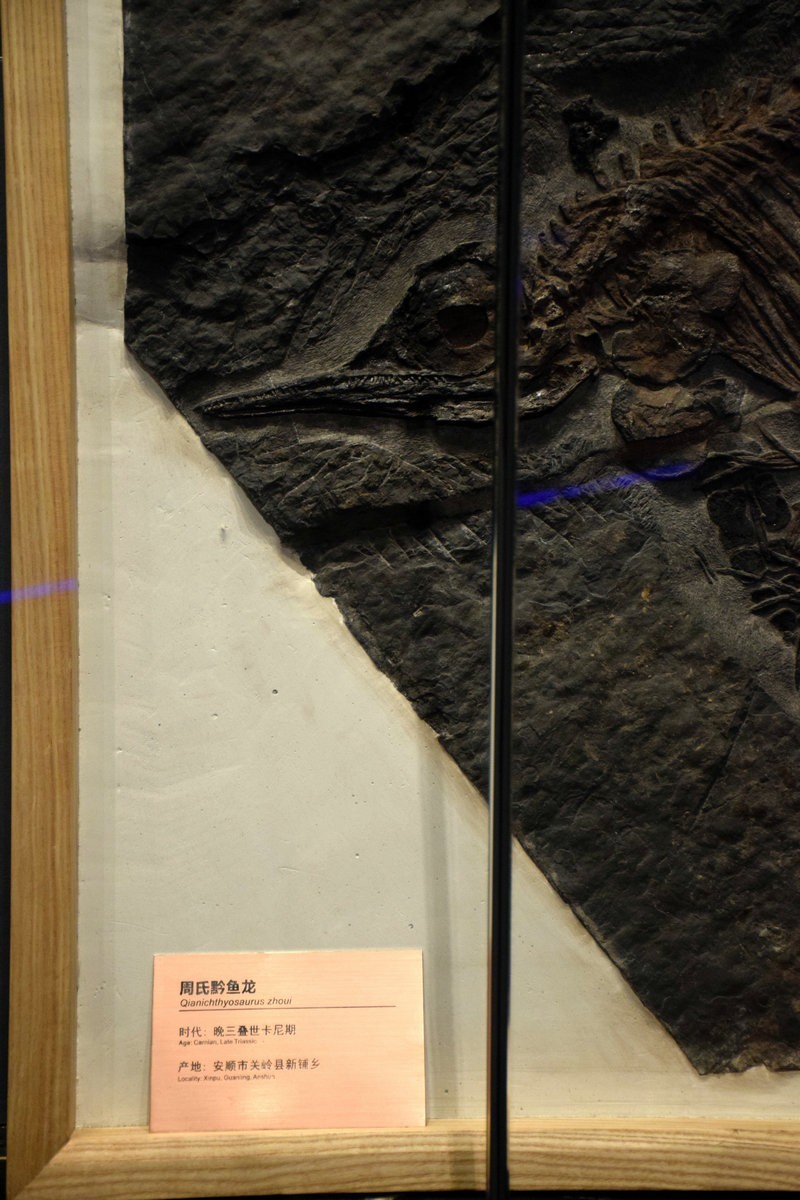 2023夏 黔赣鄂渝川（17）贵博的镇馆之宝