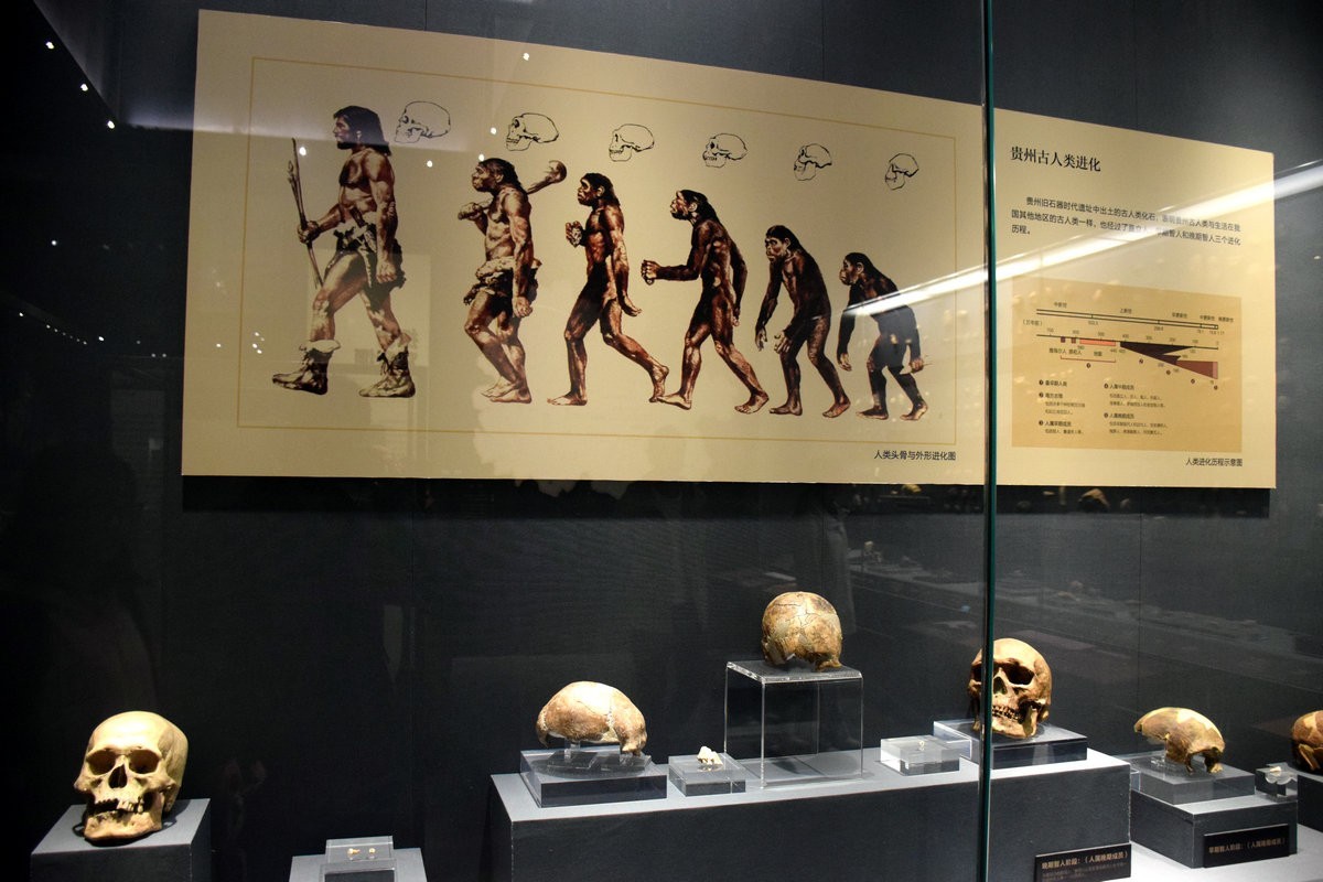 2023夏 黔赣鄂渝川（17）贵博的镇馆之宝