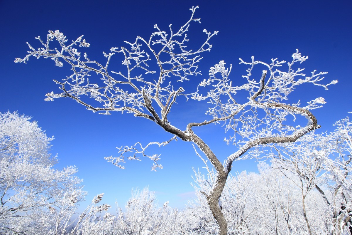 爱我家乡走进黑龙江