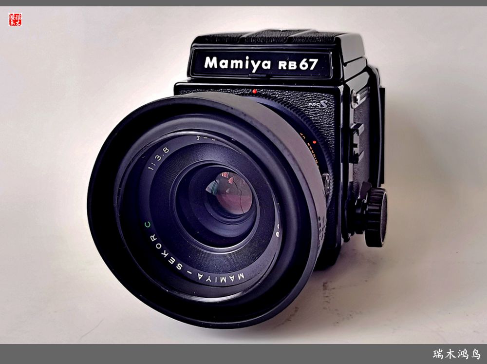 【手机随拍】一堆败家的玩意