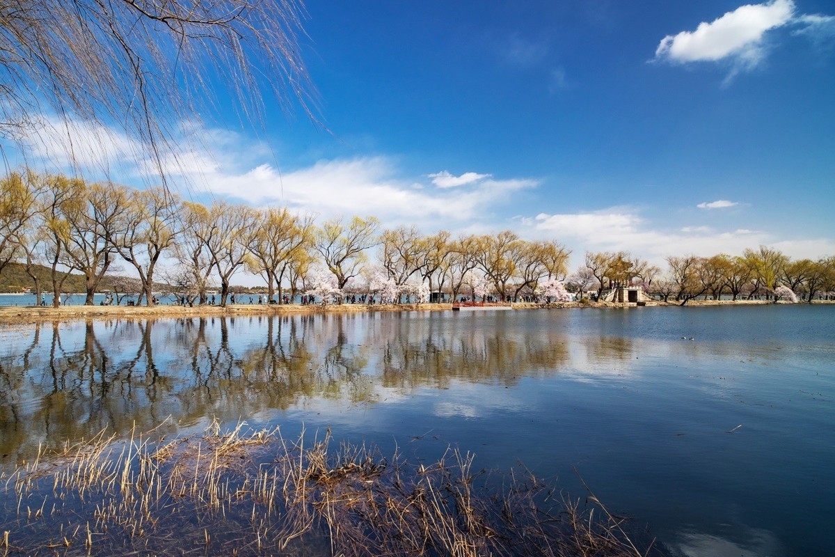 满园深浅色, 照在绿波中。