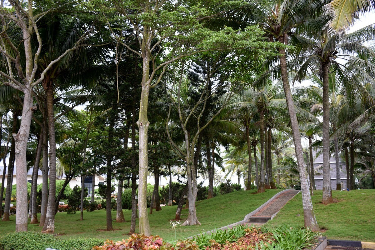 2024夏 海南环岛行（153）热血丰碑——临高角