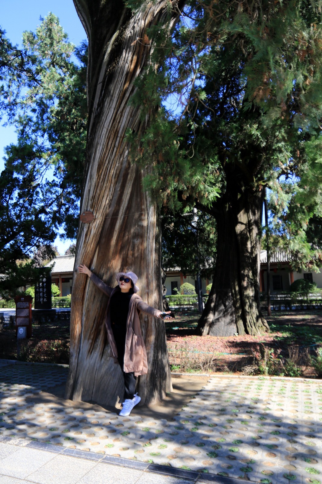 西安行___黄帝陵