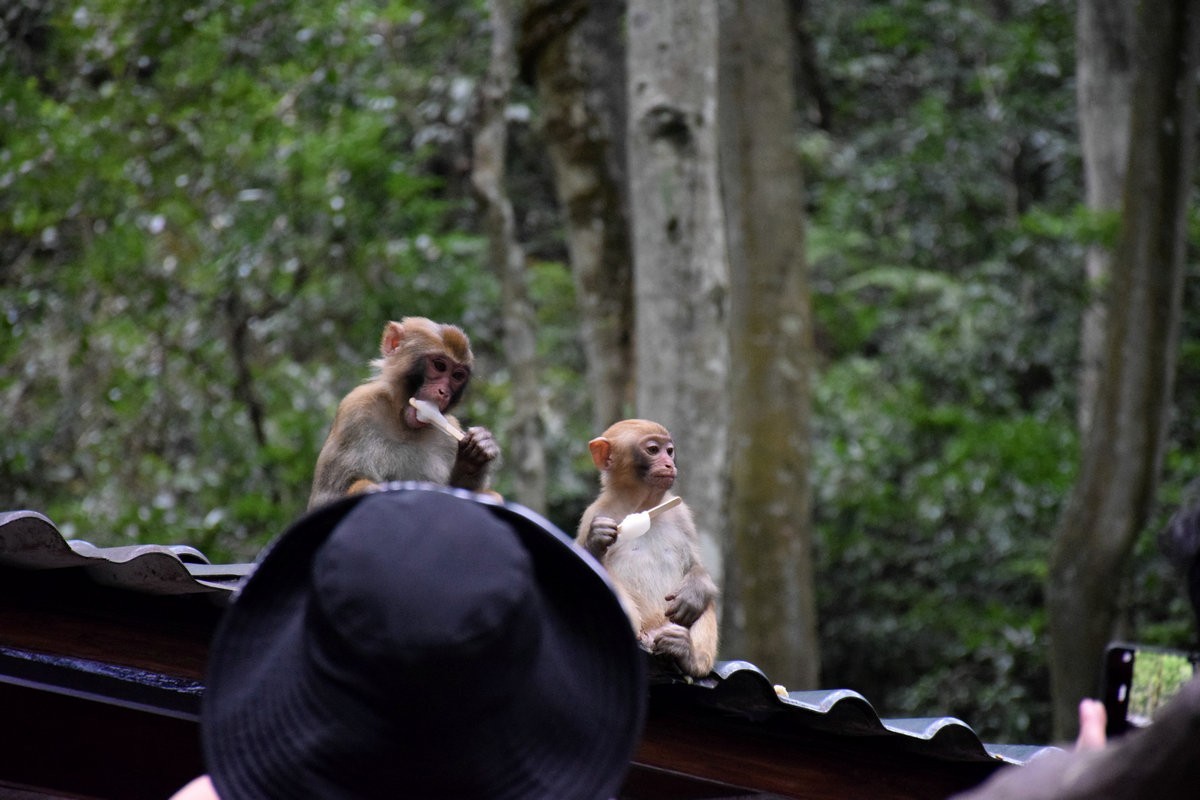 2022夏 湘赣边（69）“海螺峰”往回返