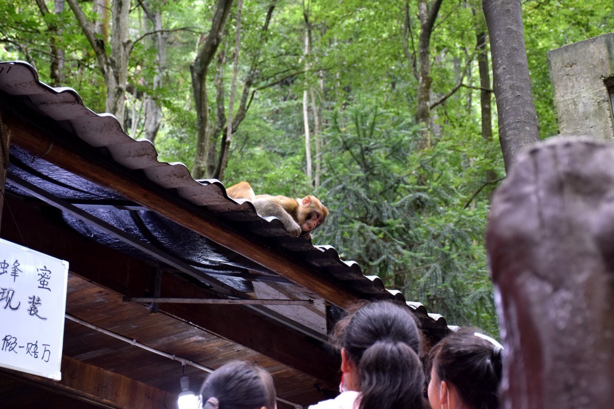 2022夏 湘赣边（69）“海螺峰”往回返