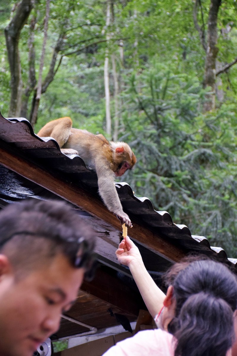 2022夏 湘赣边（69）“海螺峰”往回返