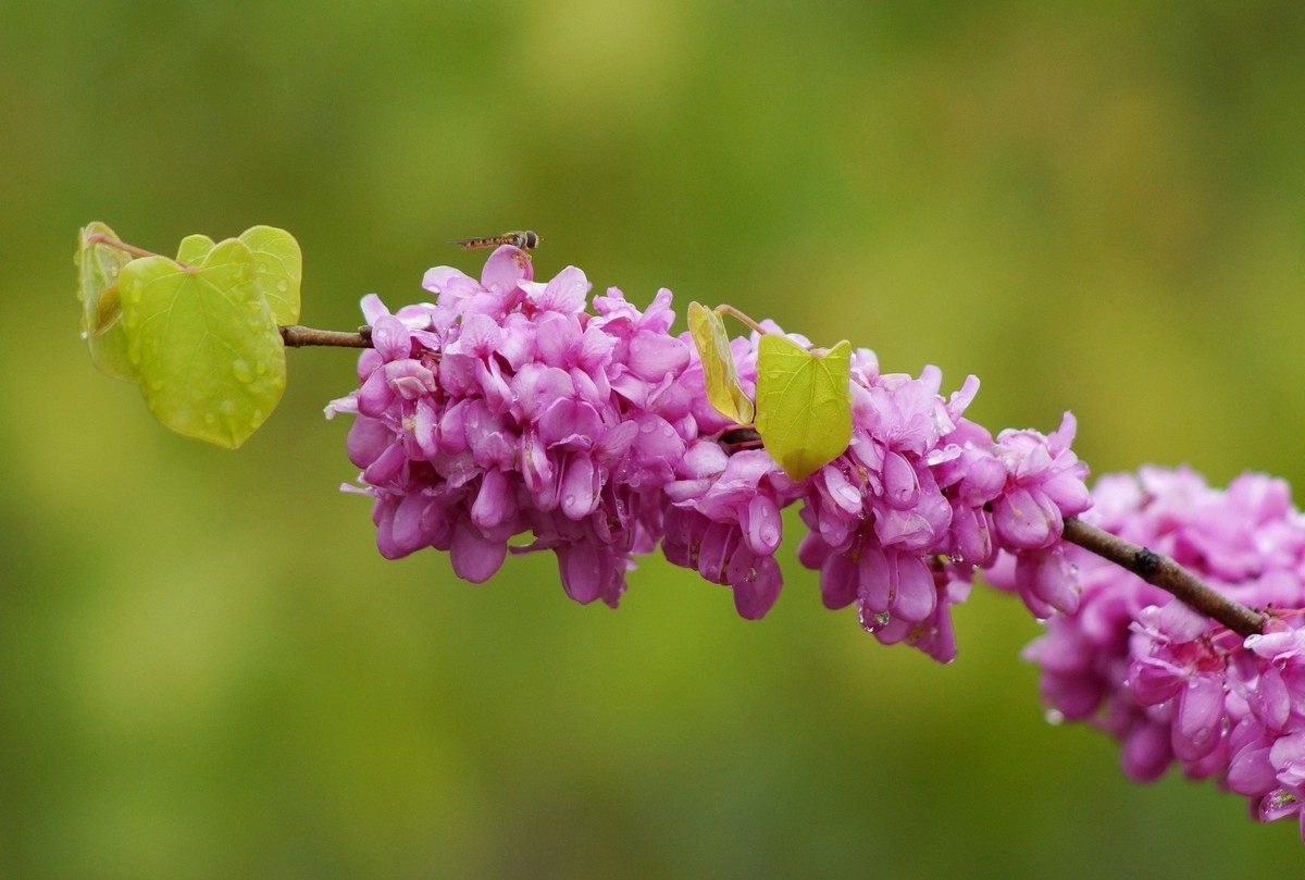 闲鱼淘个美能达100-300镜头试拍