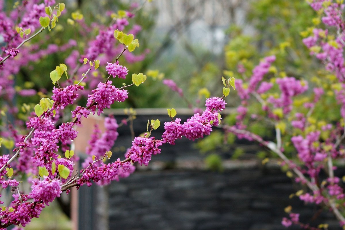 闲鱼淘个美能达100-300镜头试拍