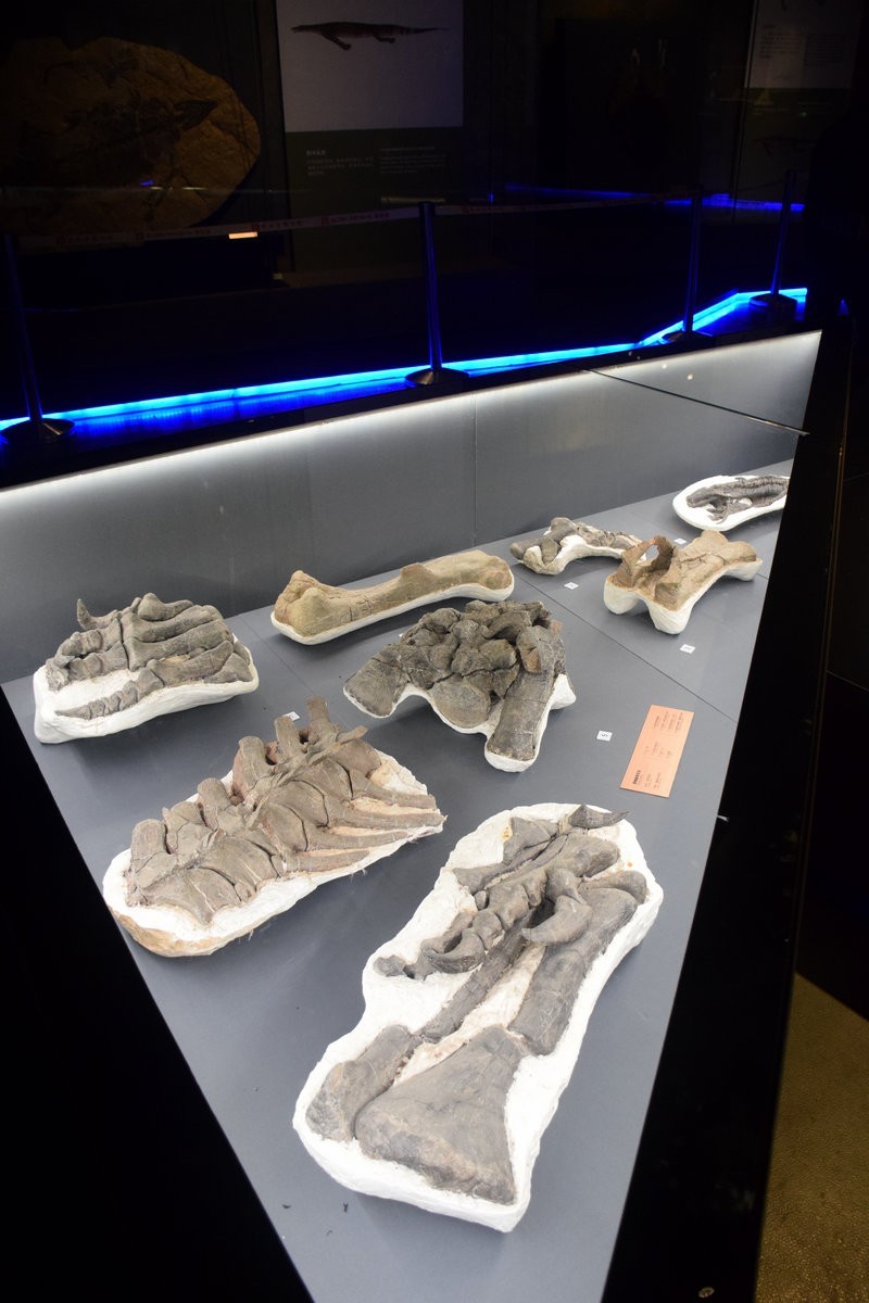 2023夏 黔赣鄂渝川（17）贵博的镇馆之宝