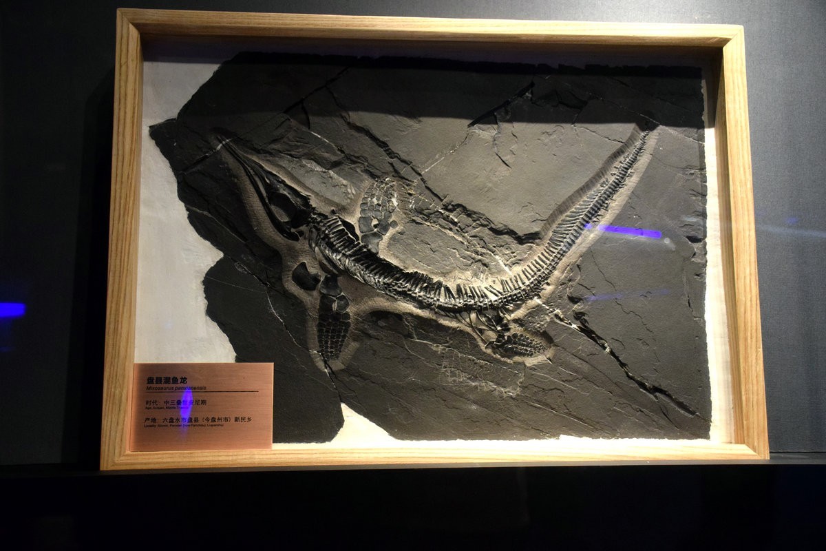 2023夏 黔赣鄂渝川（17）贵博的镇馆之宝