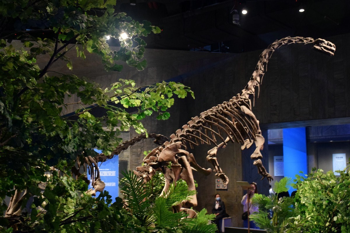 2023夏 黔赣鄂渝川（17）贵博的镇馆之宝