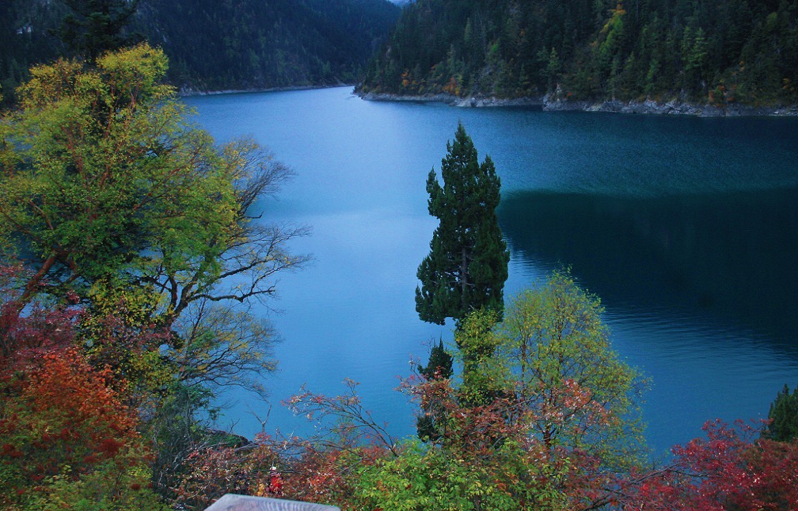 旅游扫街抓拍片《风景，花草和妹子》请大家欣赏指教！