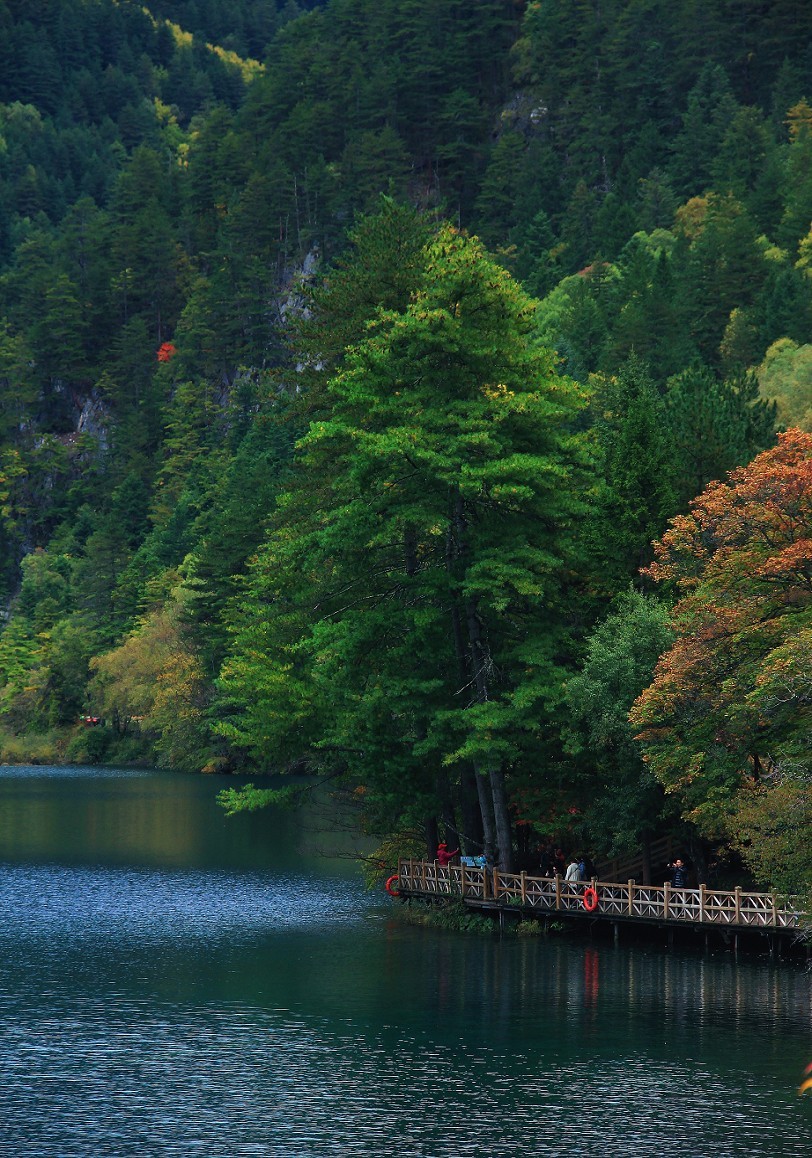 旅游扫街抓拍片《风景，花草和妹子》请大家欣赏指教！
