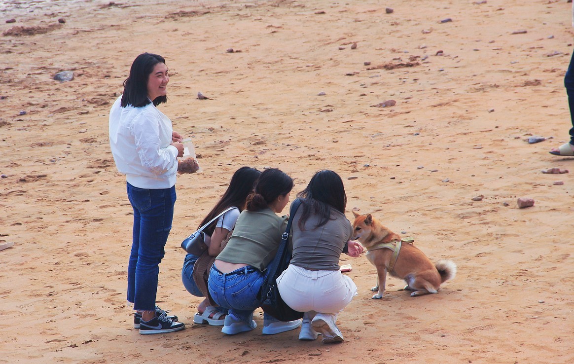 旅游扫街抓拍片《风景，花草和妹子》请大家欣赏指教！