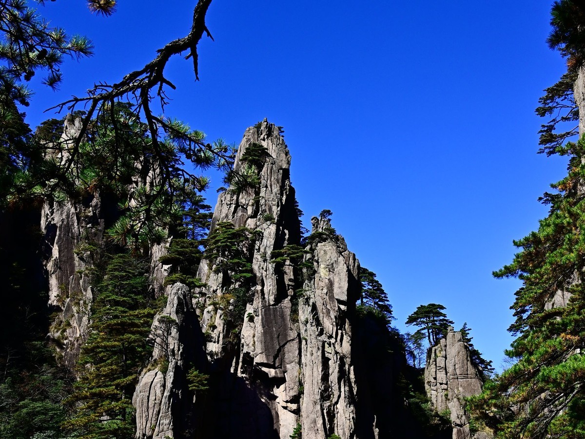 入手尼康Z5加Z24-70F4套机黄山试拍风景
