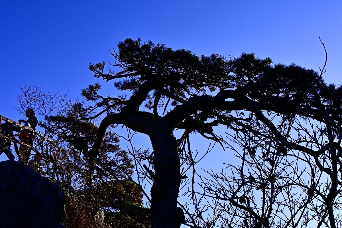 入手尼康Z5加Z24-70F4套机黄山试拍风景