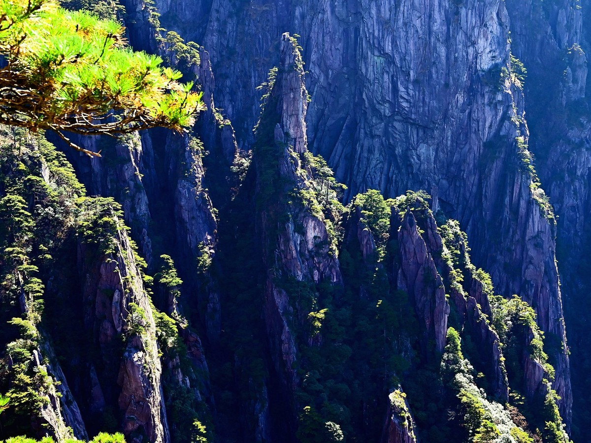 入手尼康Z5加Z24-70F4套机黄山试拍风景