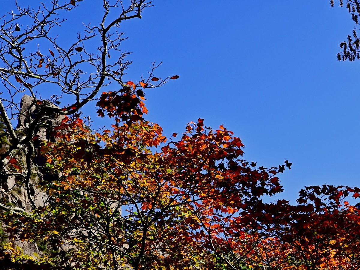入手尼康Z5加Z24-70F4套机黄山试拍风景