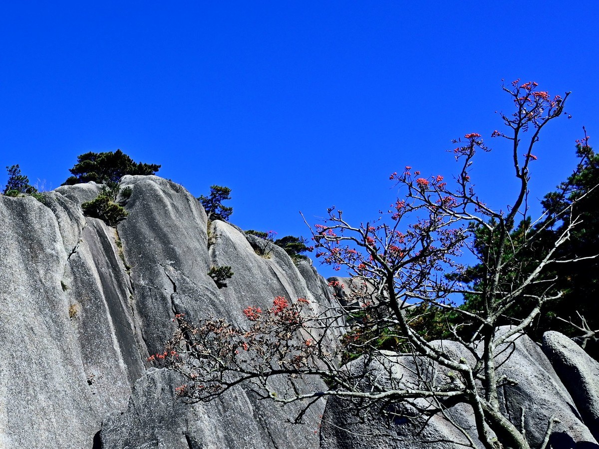 入手尼康Z5加Z24-70F4套机黄山试拍风景
