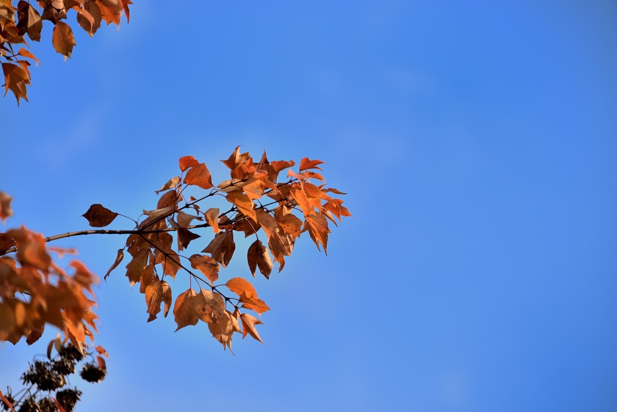 兴隆湖湿地公园【7】