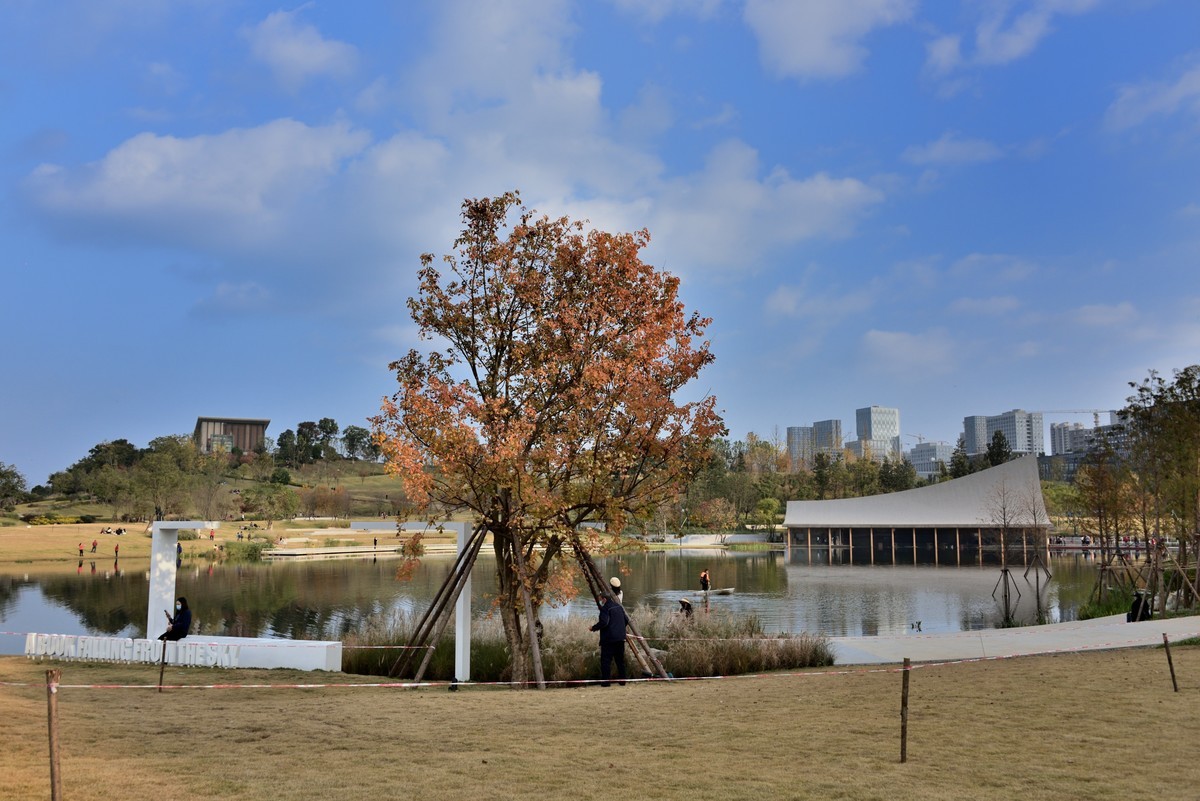 兴隆湖湿地公园【7】