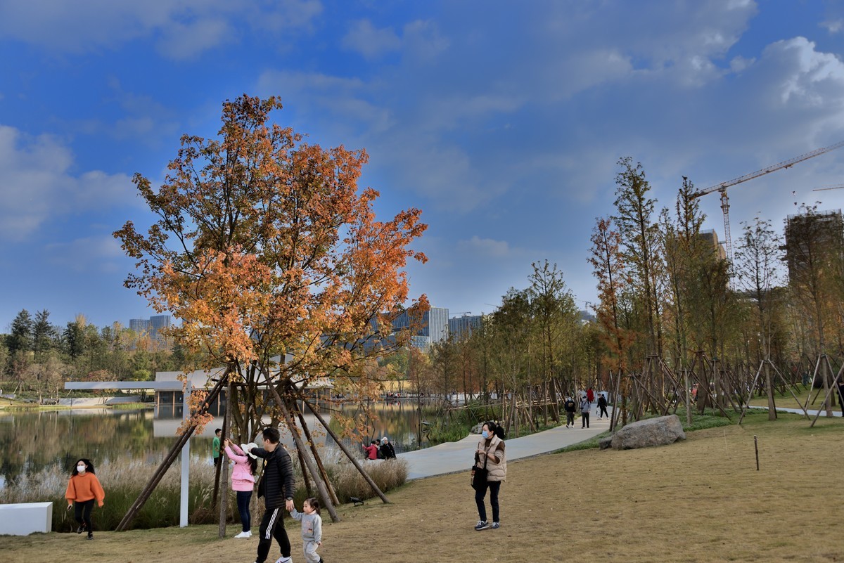 兴隆湖湿地公园【7】