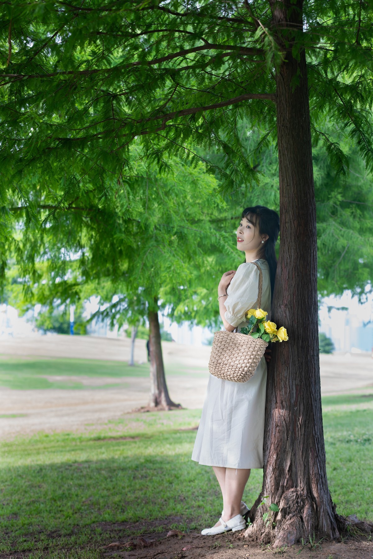 初夏之风尽在岸上草原