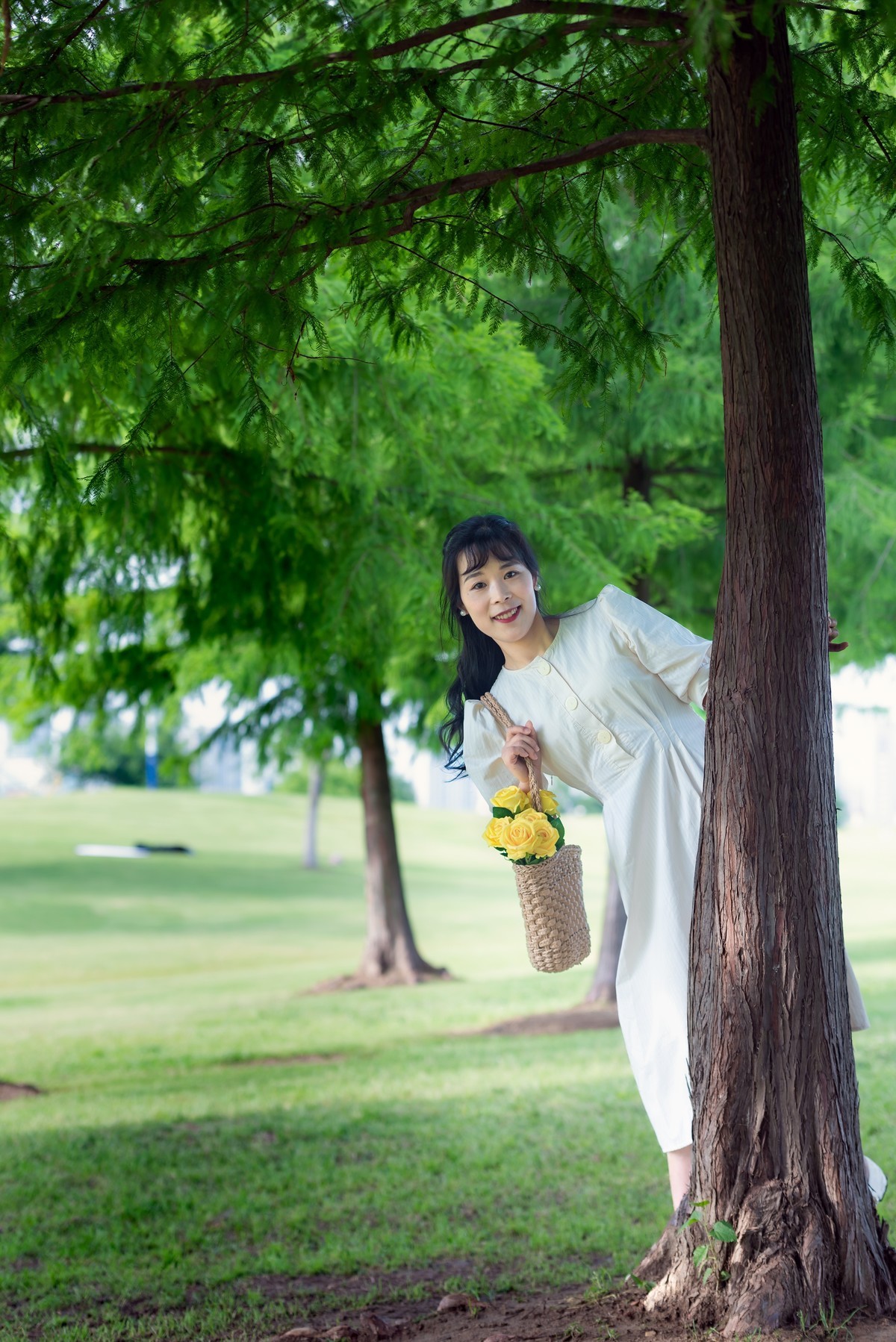 初夏之风尽在岸上草原