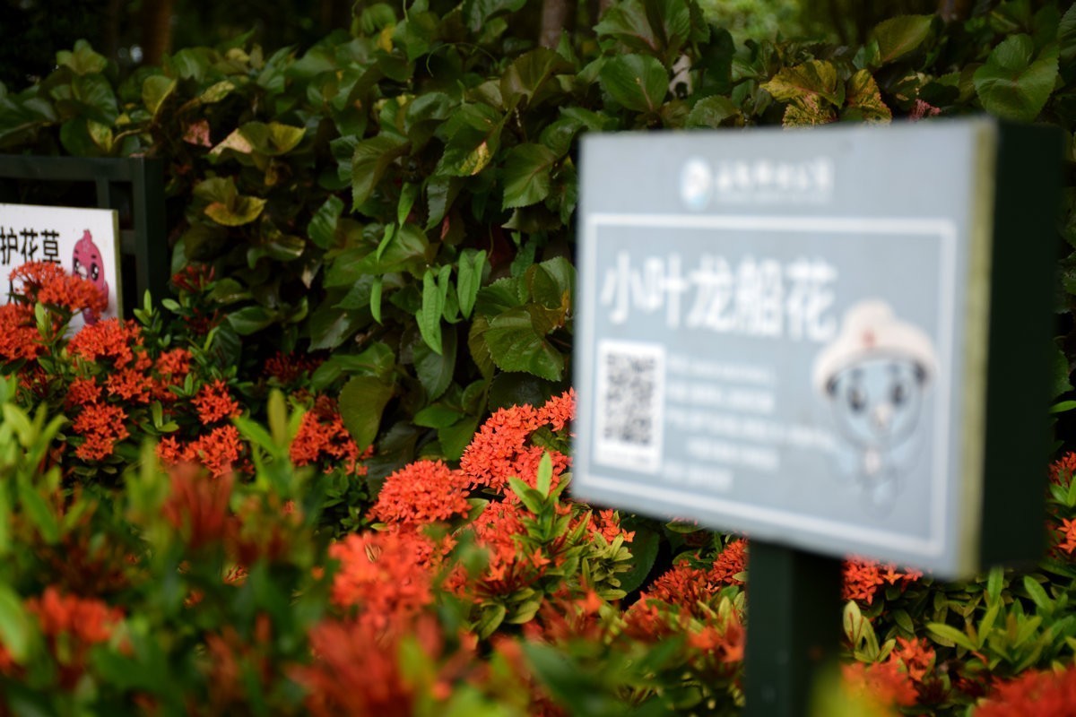 2024夏 海南环岛行（154） 临高角“仙人指路”