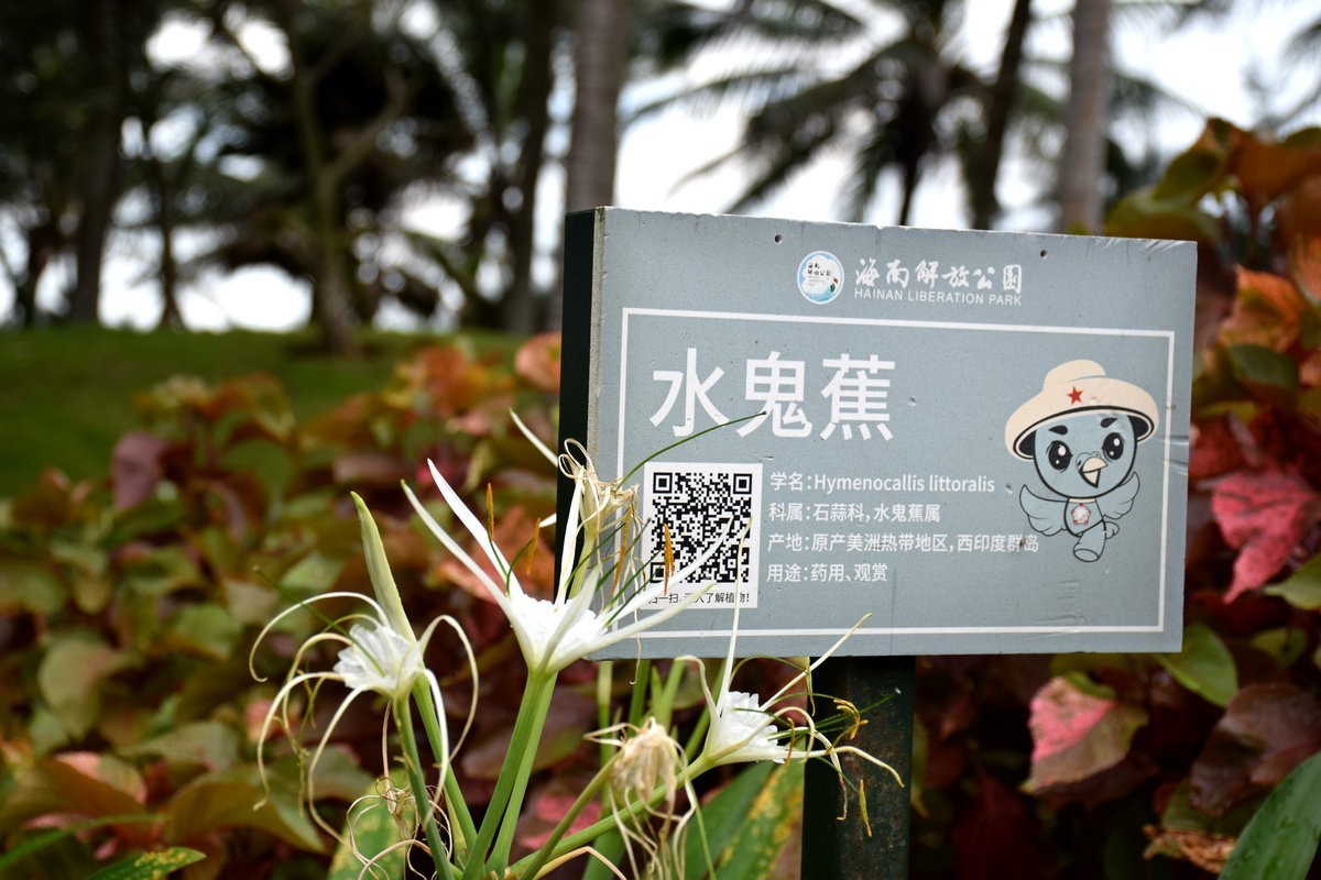 2024夏 海南环岛行（154） 临高角“仙人指路”