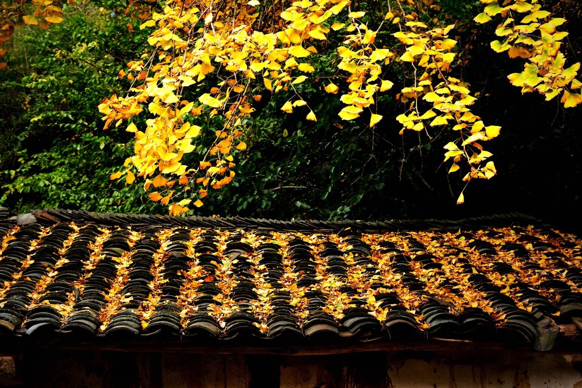 游拍初冬的小山村景色