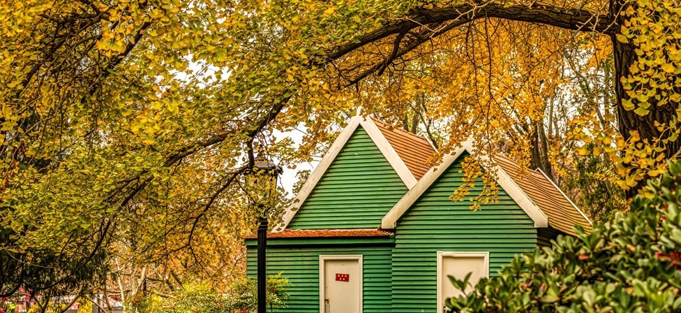 青岛中山公园秋色