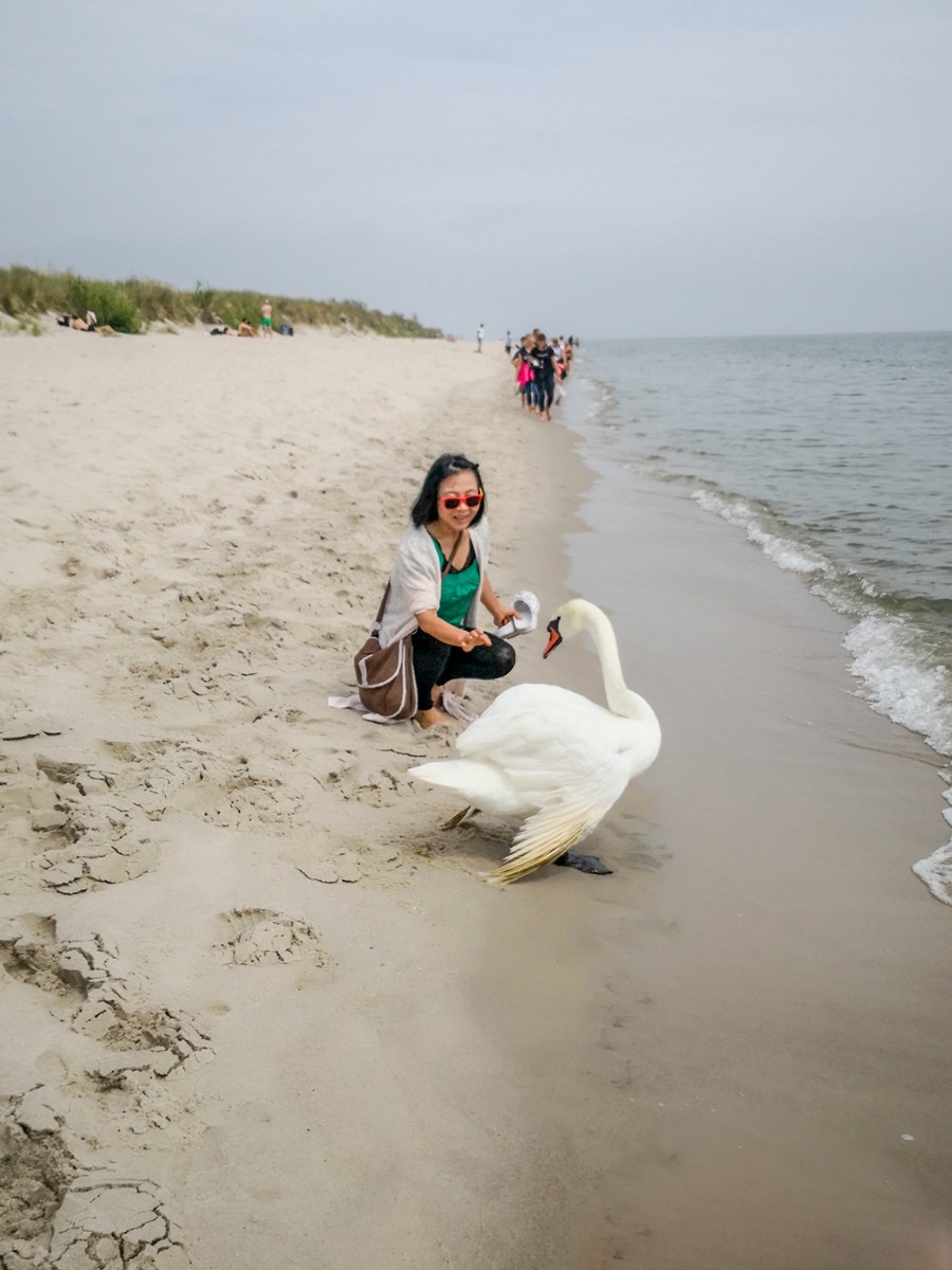 大巴游之--希尔半岛（波兰）