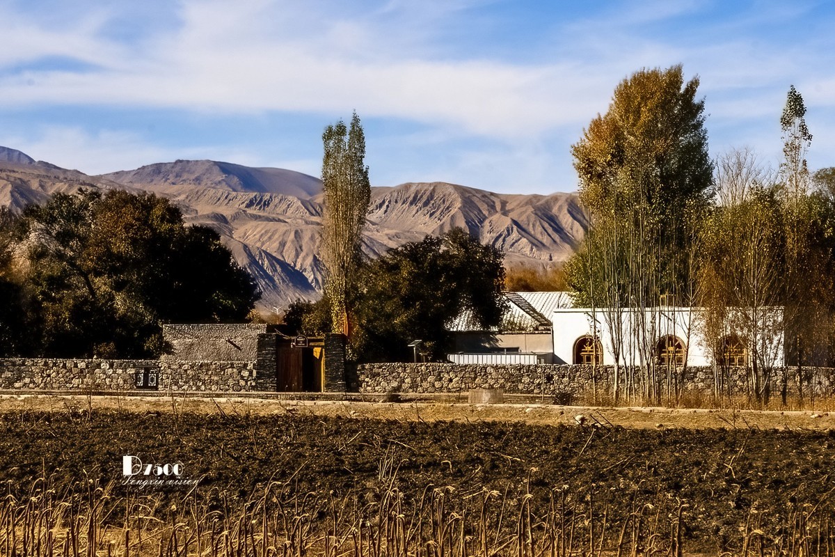 南疆行——帕米尔的石头城与金草滩（3）