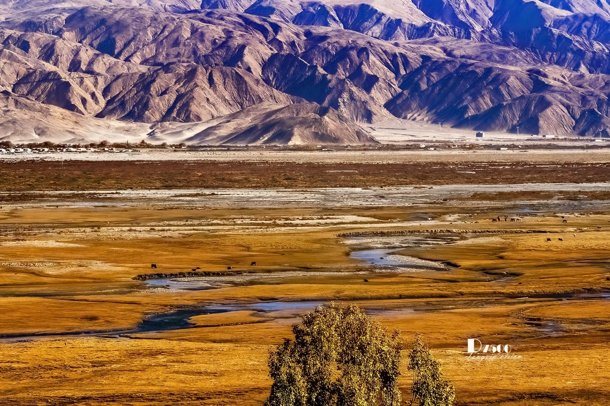 南疆行——帕米尔的石头城与金草滩（3）