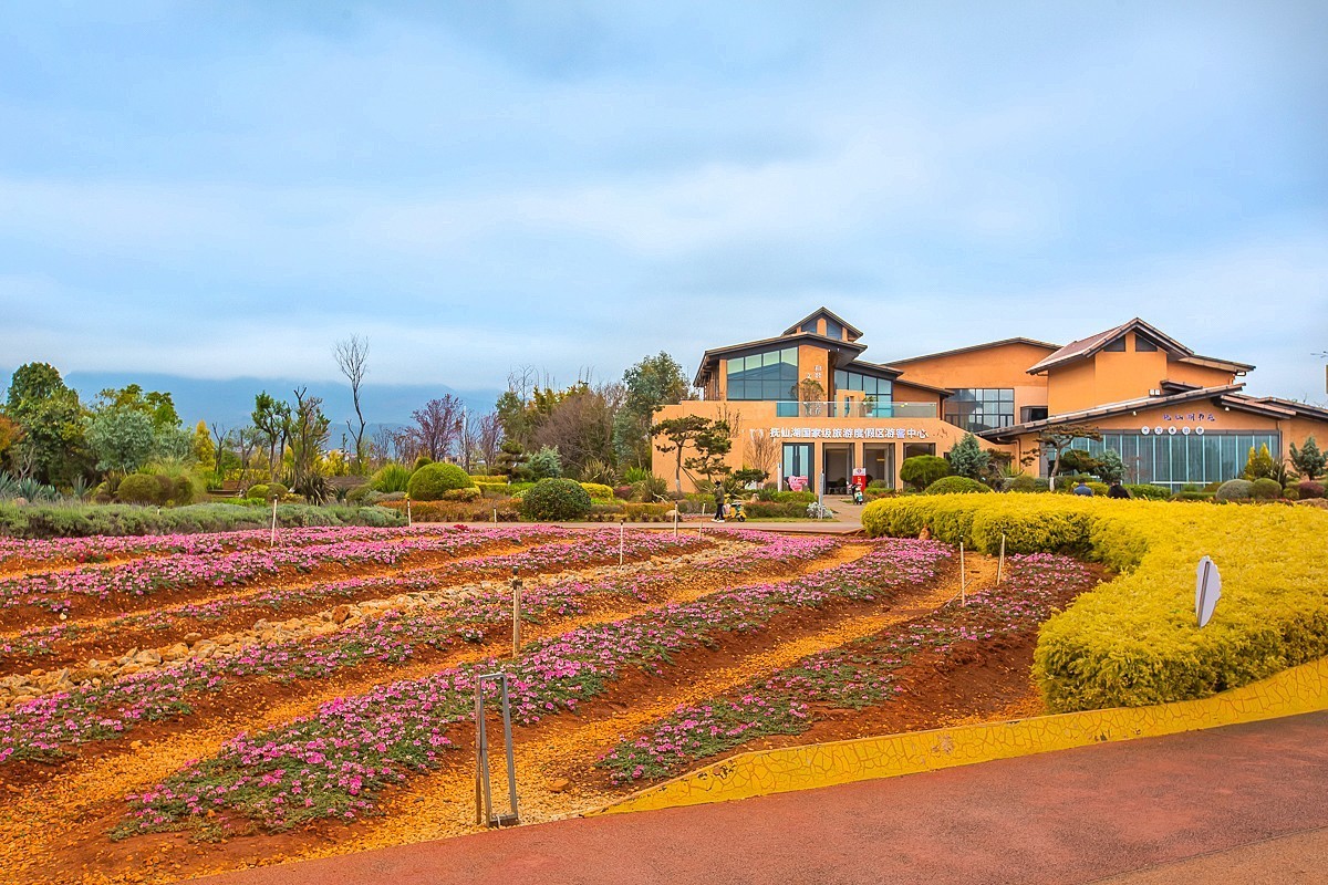 2025-05-25云南玉溪抚仙湖粉红沙滩董衣草花海（一）