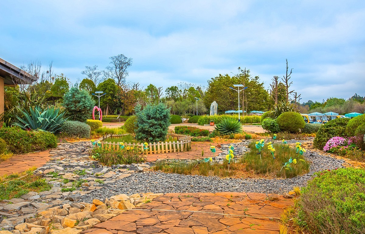2025-05-25云南玉溪抚仙湖粉红沙滩董衣草花海（一）