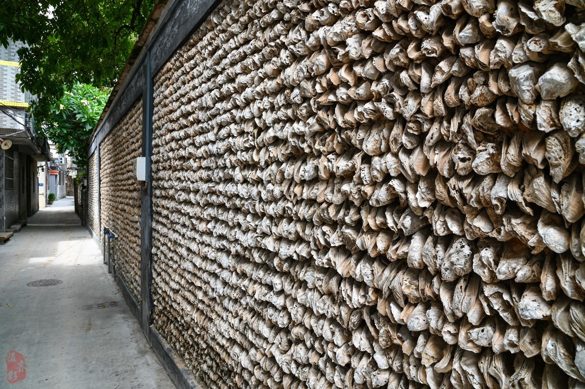 换的值不值-拍大岭