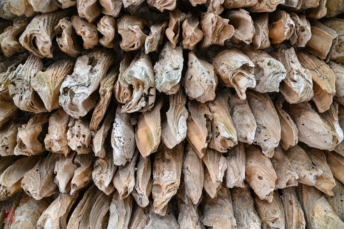 换的值不值-拍大岭