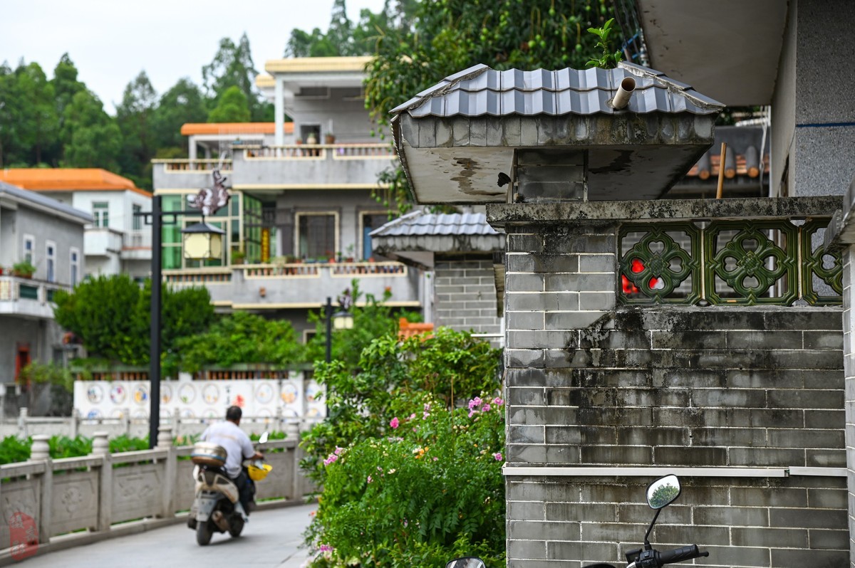 换的值不值-拍大岭