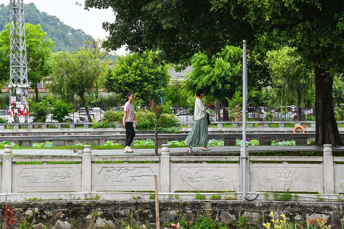 换的值不值-拍大岭