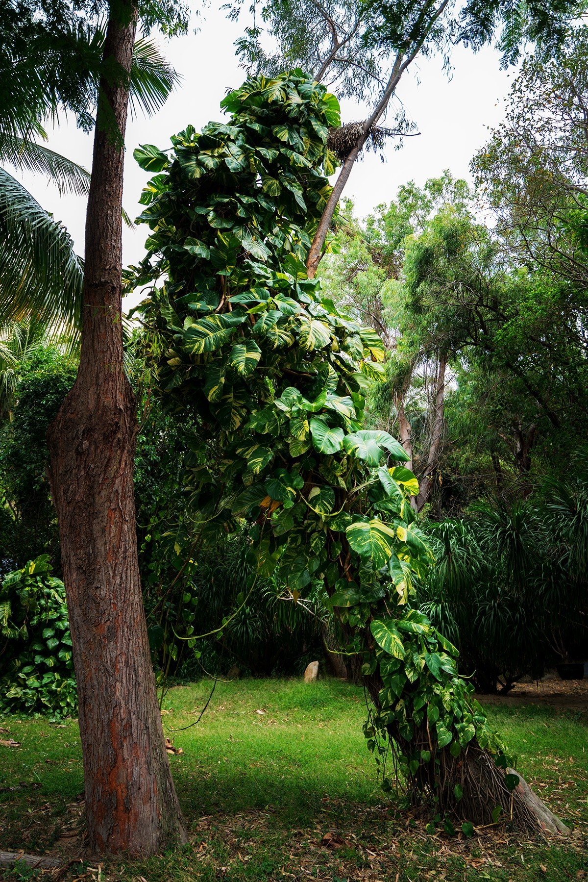 海南旅游07 琼崖第一山水——大小洞天（下）