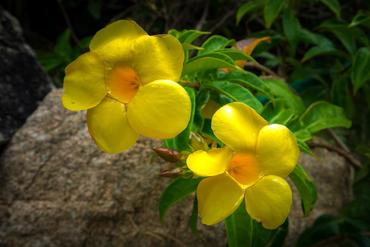 海南旅游07 琼崖第一山水——大小洞天（下）