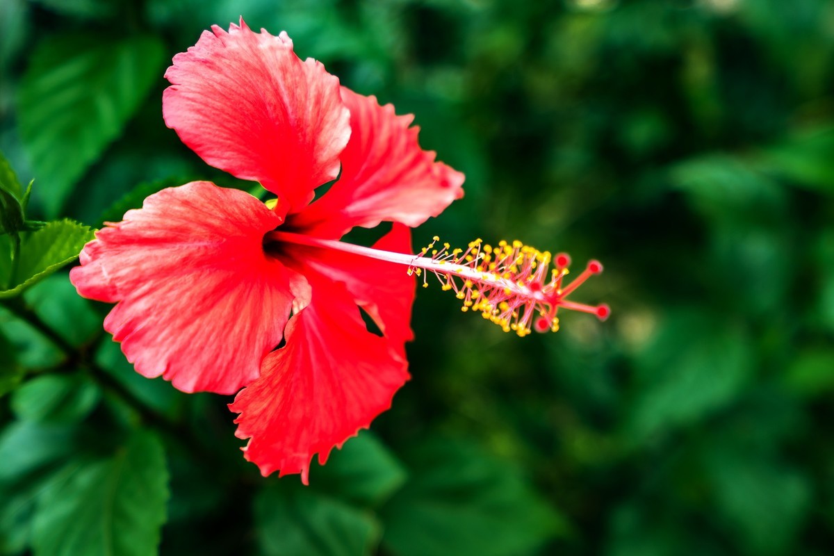 海南旅游07 琼崖第一山水——大小洞天（下）