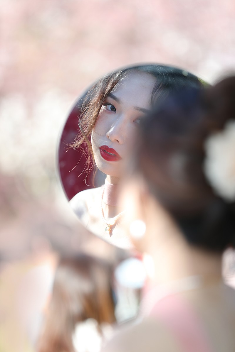 花中镜镜中花