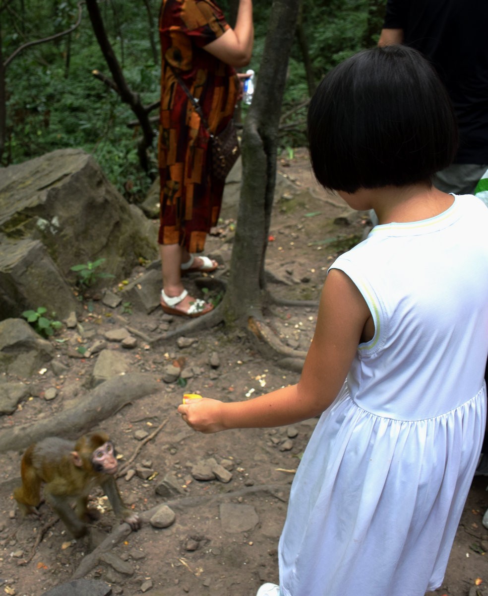 2022夏 湘赣边（69）“海螺峰”往回返
