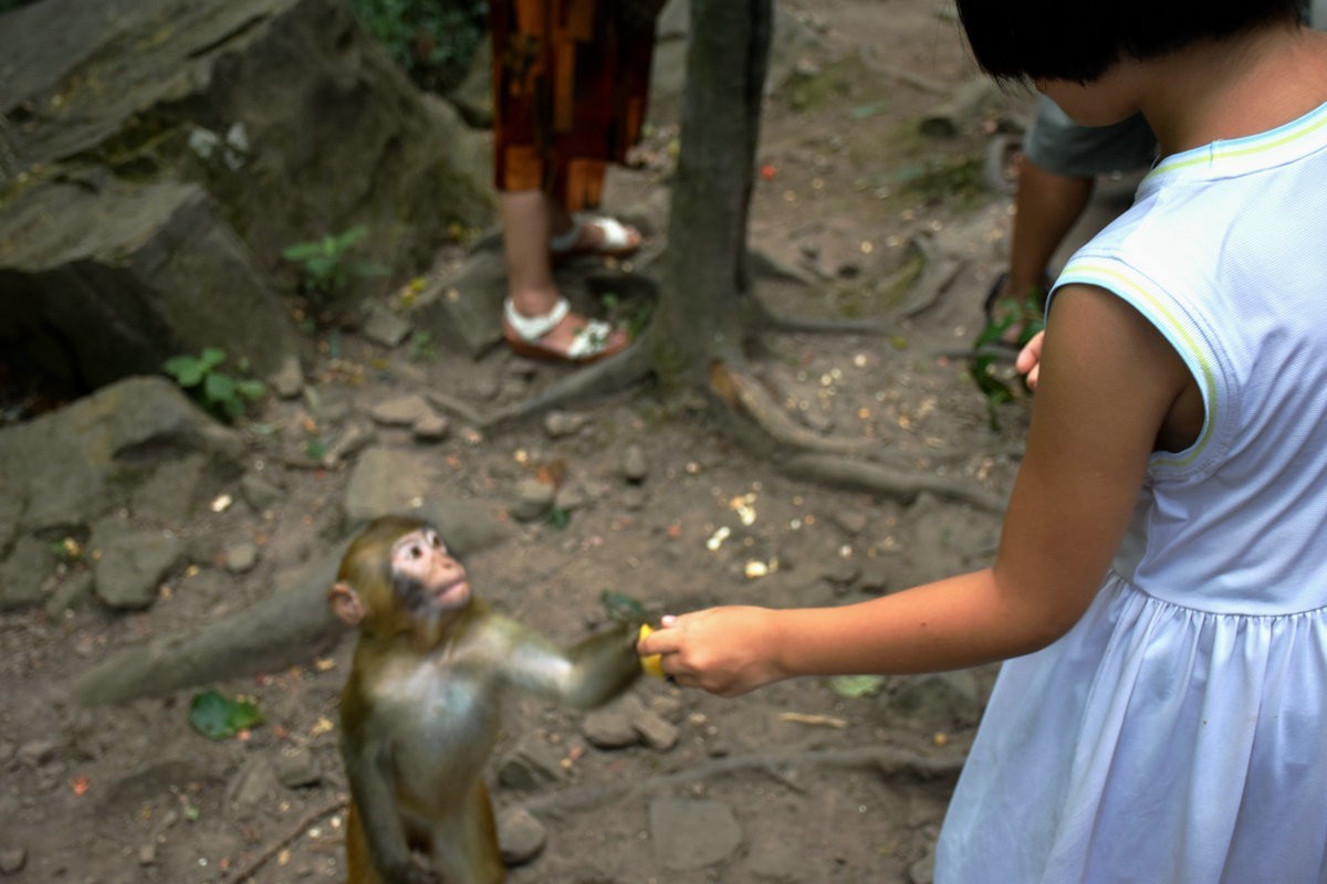 2022夏 湘赣边（69）“海螺峰”往回返
